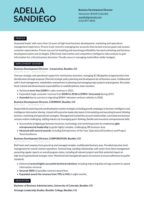 Business Development Resume Example & Writing Guide