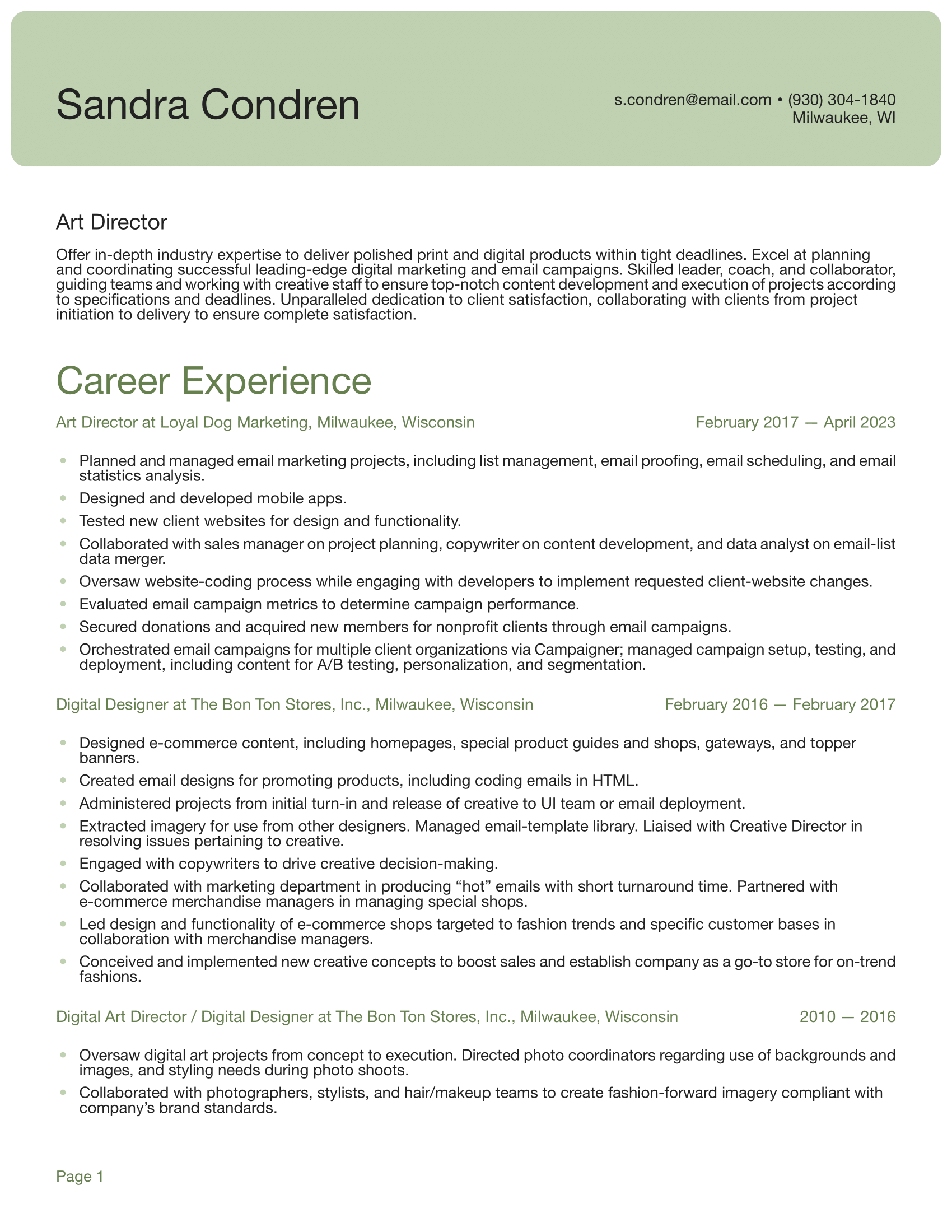 Art Director Resume Example & Writing Guide