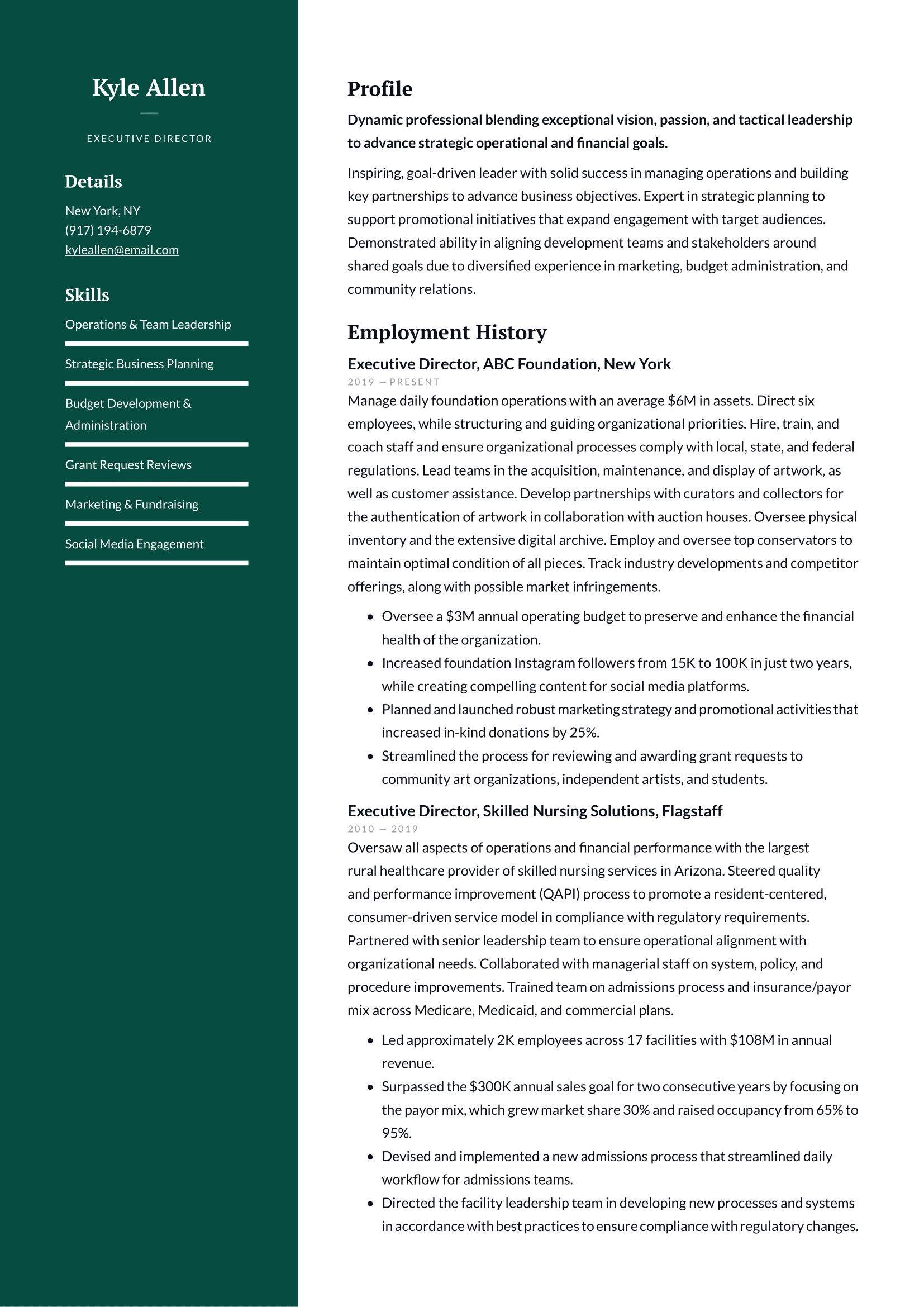 Executive Director Resume Example & Writing Guide