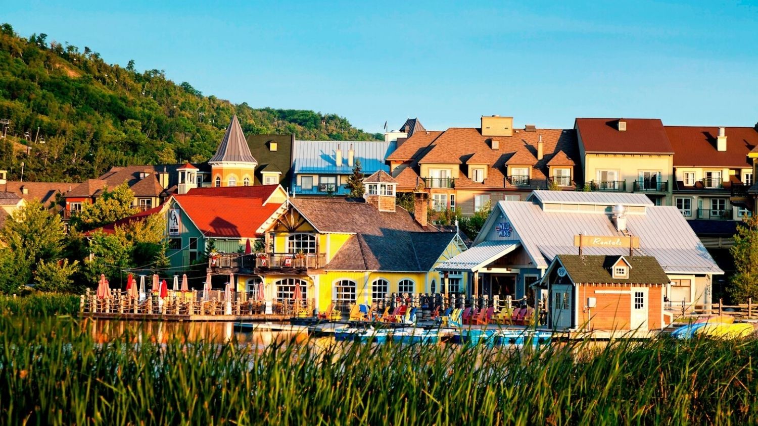 Turning Scenic Views into Revenue: A Guide to Vacation Property Investments  in The Blue Mountains | Faris Team Blog