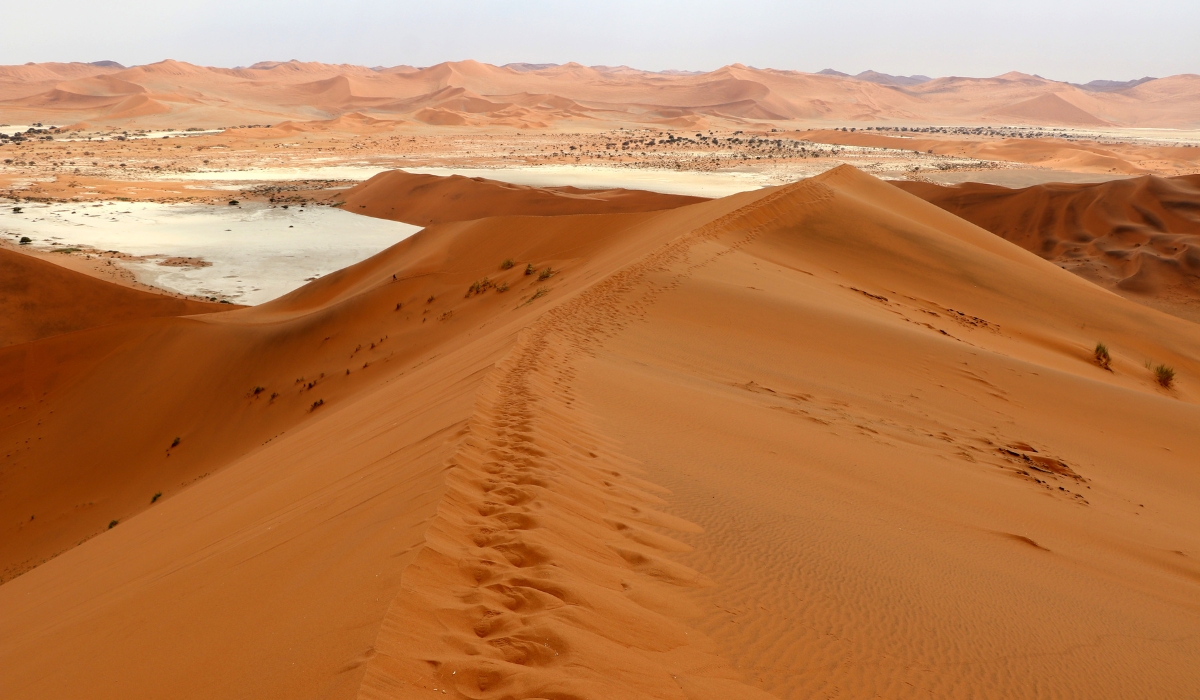 Big Daddy dune and Deadvlei in Namibia