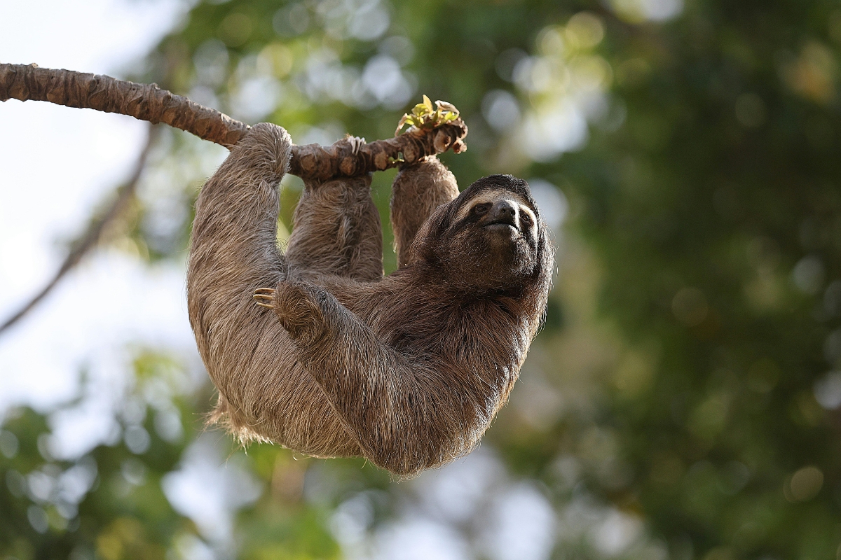 Blog Images (1200 × 800 px) (4).jpg