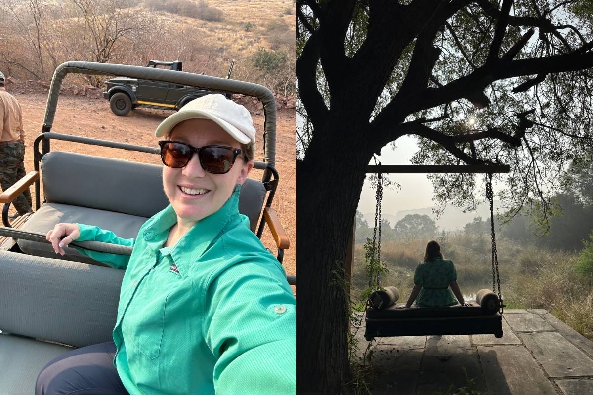 Ranthambore National Park Safari In Search of India's Tigers