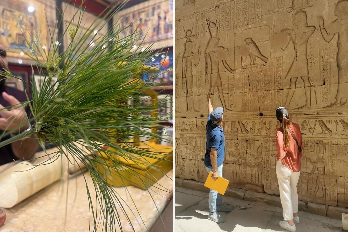 Papyrus plant and SA Destination Expert Jeanie O'Halloran looking at hieroglyphics at Karnak Temple in Luxor Egypt