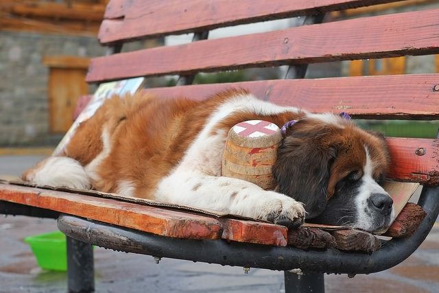 St-Bernard-Bariloche-Bapt