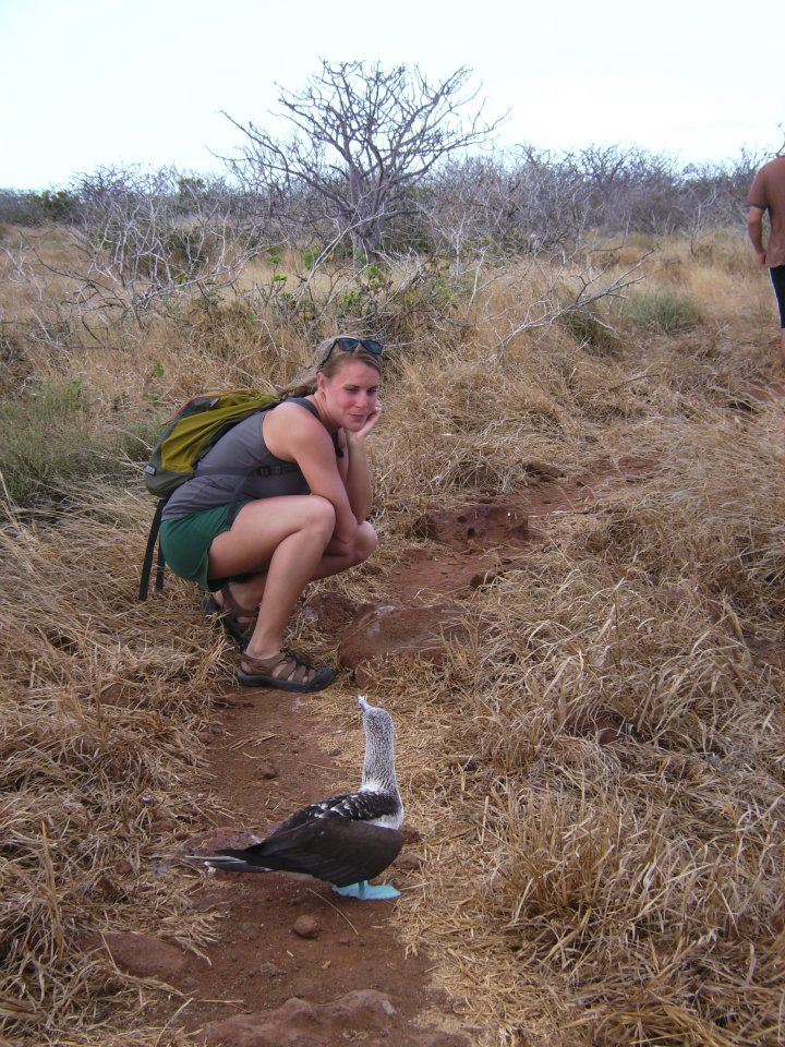 galapagos