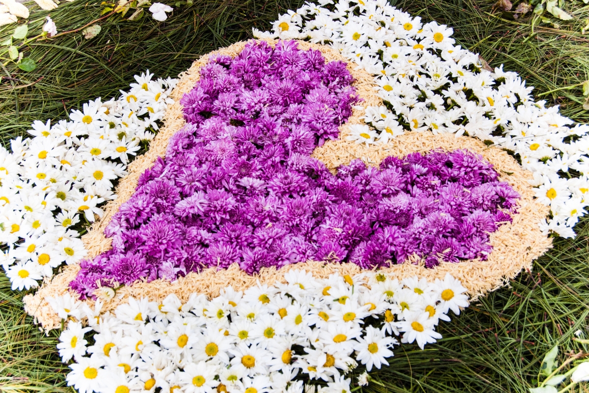 Holy Week carpet of flowers made in Antigua, Guatemala