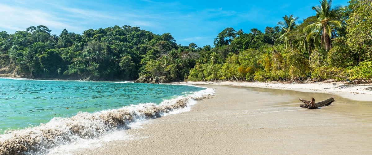 Beautiful tropical beach of Manuel Antonio National Park, Costa Rica