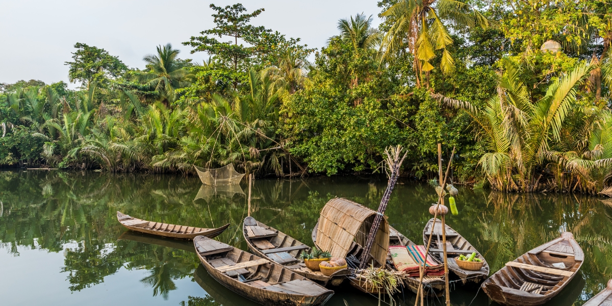 Mekong Delta, jungle, and boats in Vietnam