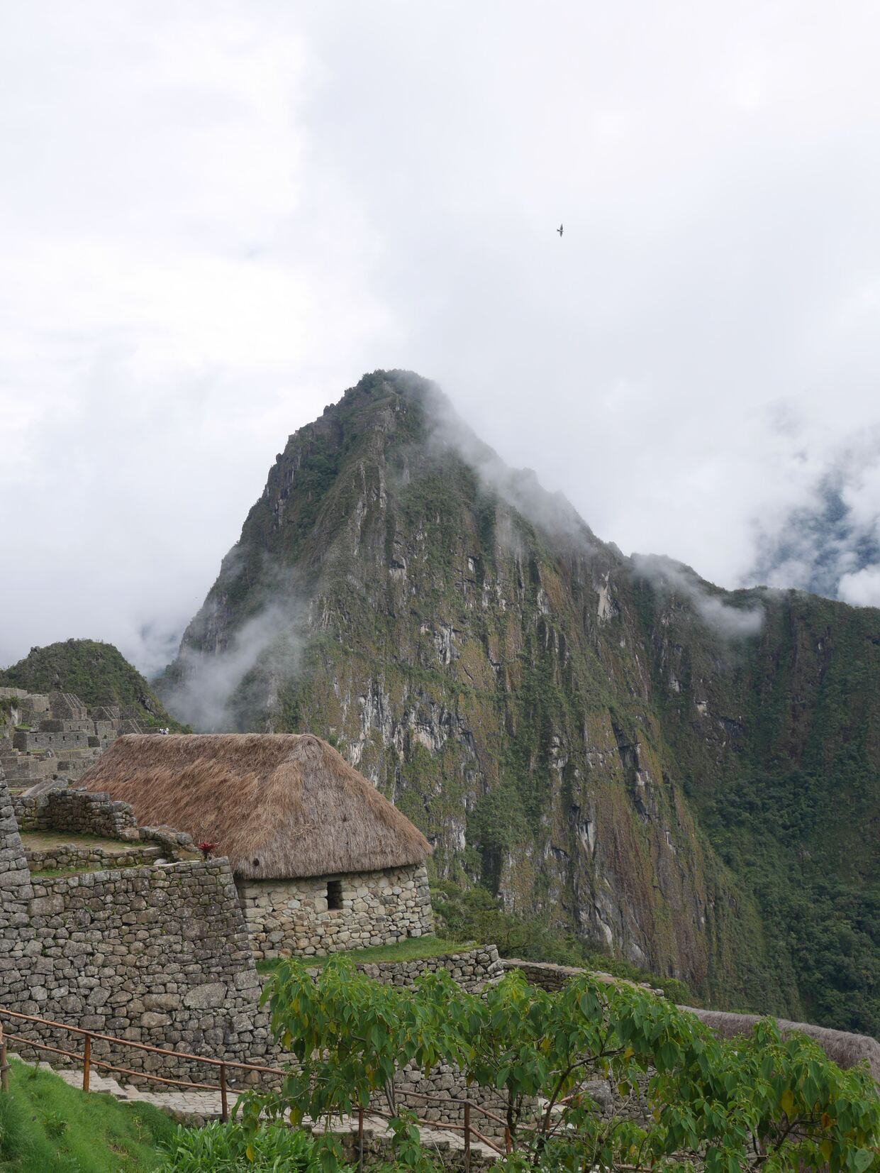 Machu Picchu peak