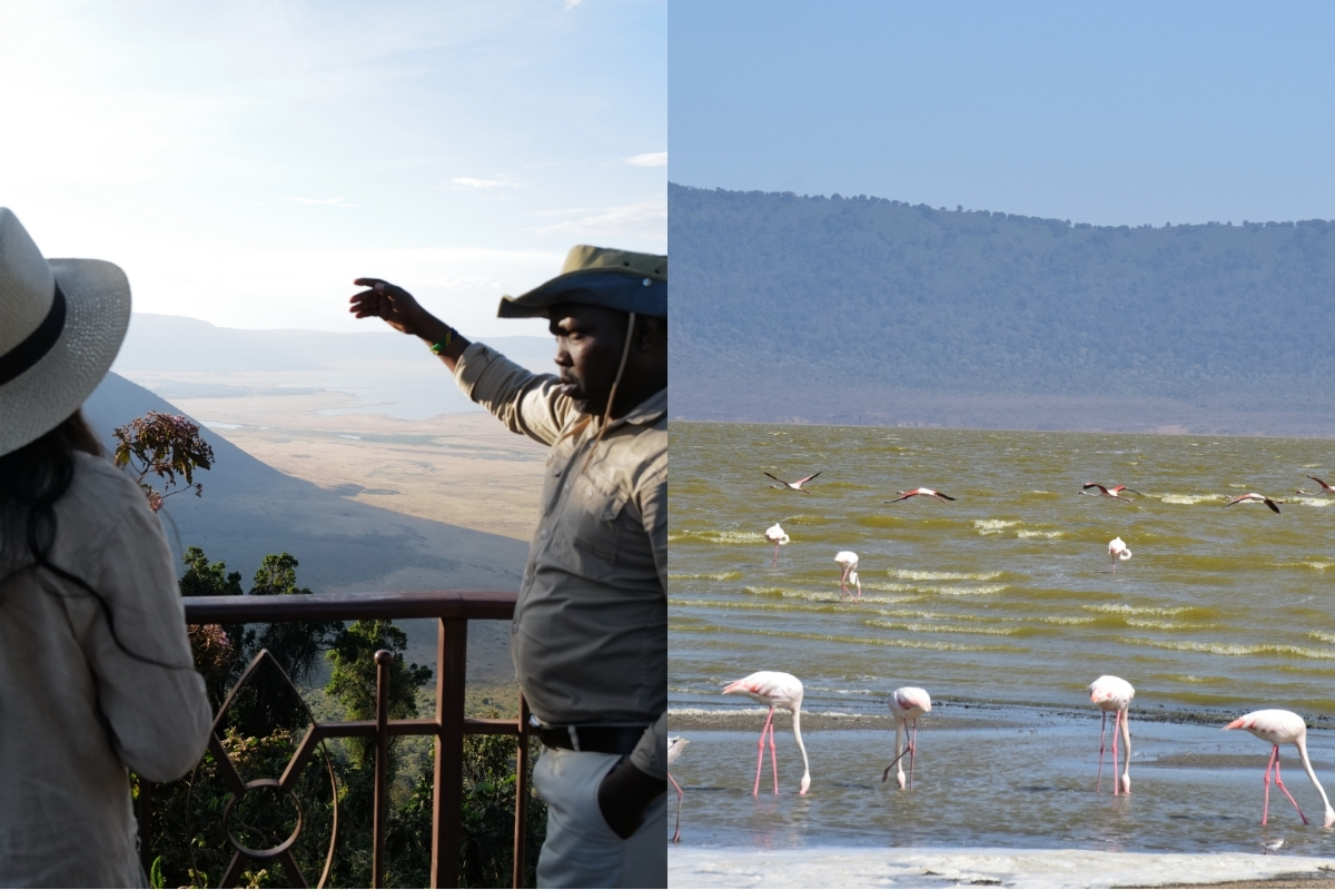 Beautiful view of the Ngorongoro Crater and spotting more unique wildlife (Photo: Stephanie Mifflin). 