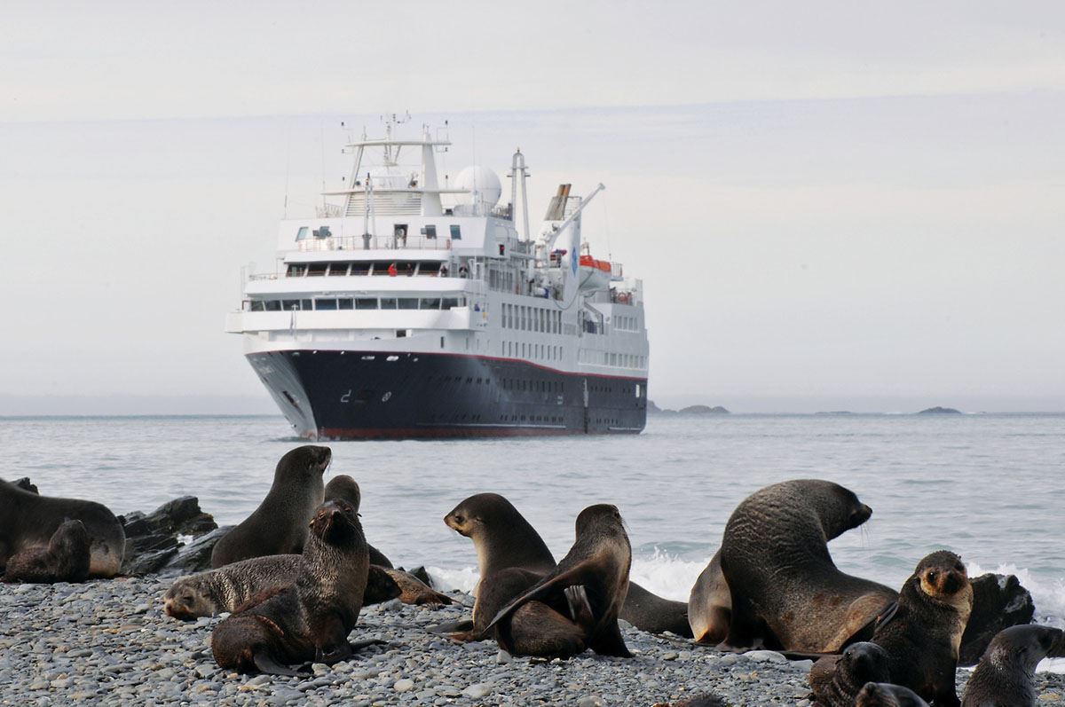 silversea-antarctica-cruise-seals-2
