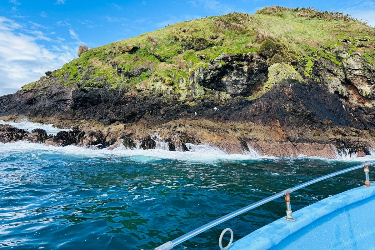 Punihuil Cove where Humbolt and Magellanic penguins nest at Chiloe Island, Chile