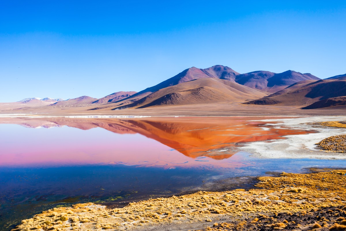 Laguna Colorada Red Lagoon at Salar de Uyuni Salt Flats in Bolivia