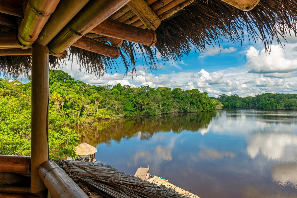 River and jungle view at bird watching observation tower in the Amazon, Yasuni National Park, Ecuador
