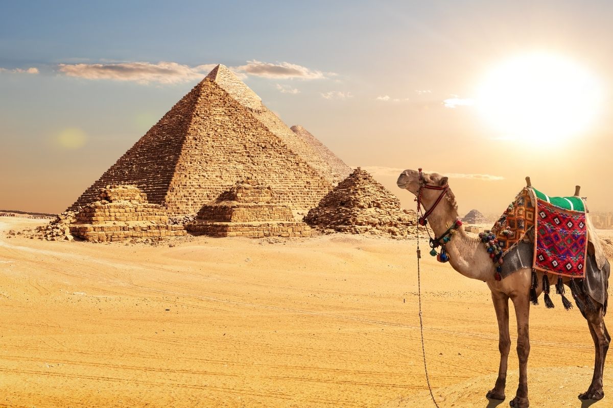 6-egypt-cairo-pyramids-of-giza-camel-1