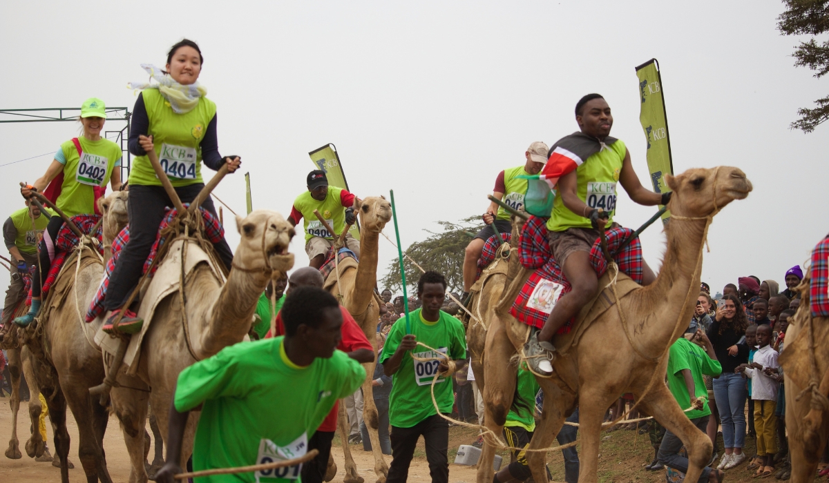 Racing Camels during Maralal Camel Derby in Samburu, Kenya, 2017