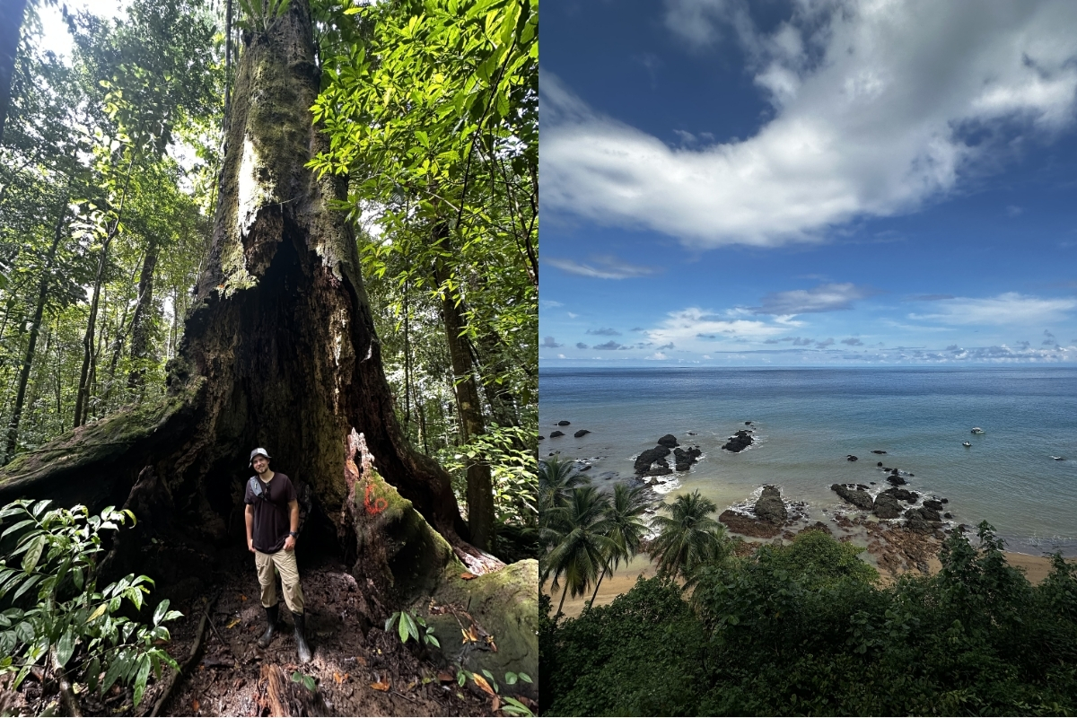 Beautiful scenery in Corcovado National Park and Caño Island (Photo: Mikey Blount).  
