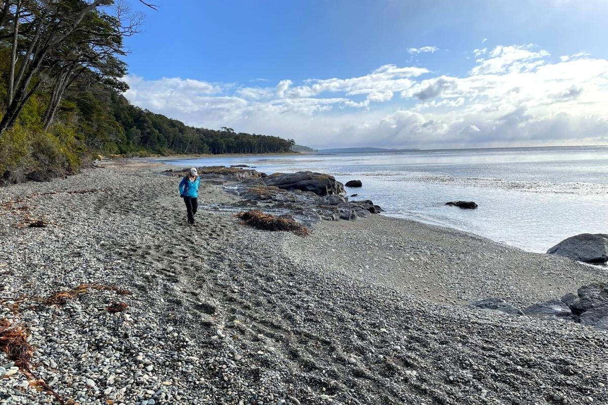 Cabo Froward excursion, beach in Punta Arenas, Chile