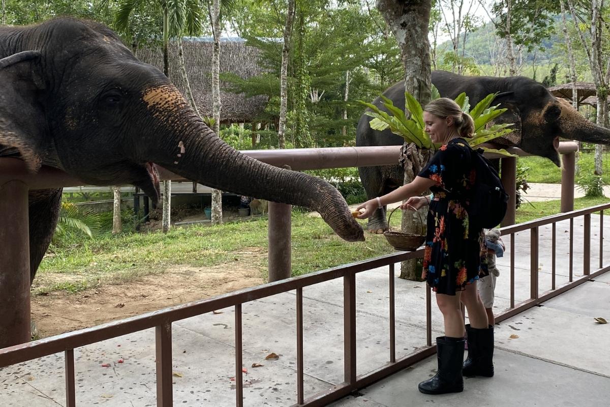 Riva Bacquet feeding elephants at Elephant Sanctuary in Thailand