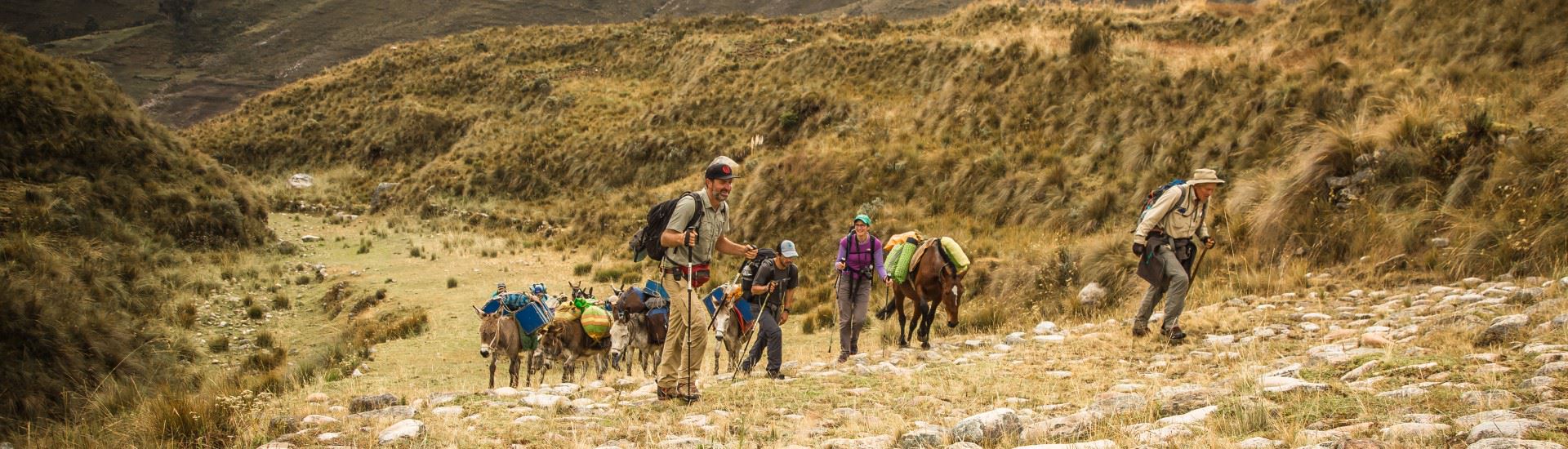 Great Inca Trail - Hikers climbing a hill