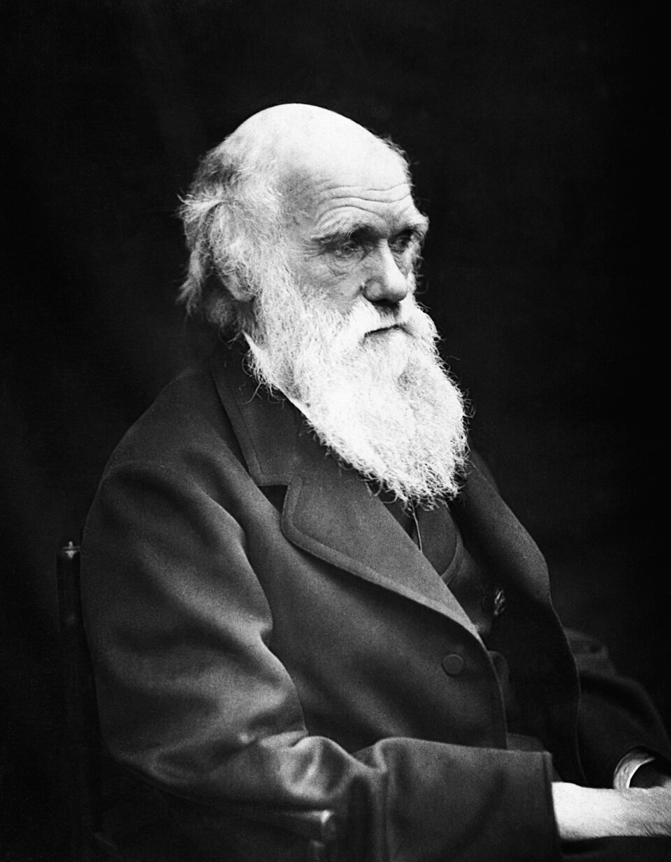 Charles Darwin portrait