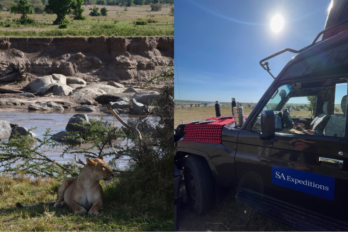 Spotting a lioness at the Mara River during our day following the Great Migration! (Photo: Stephanie Mifflin)