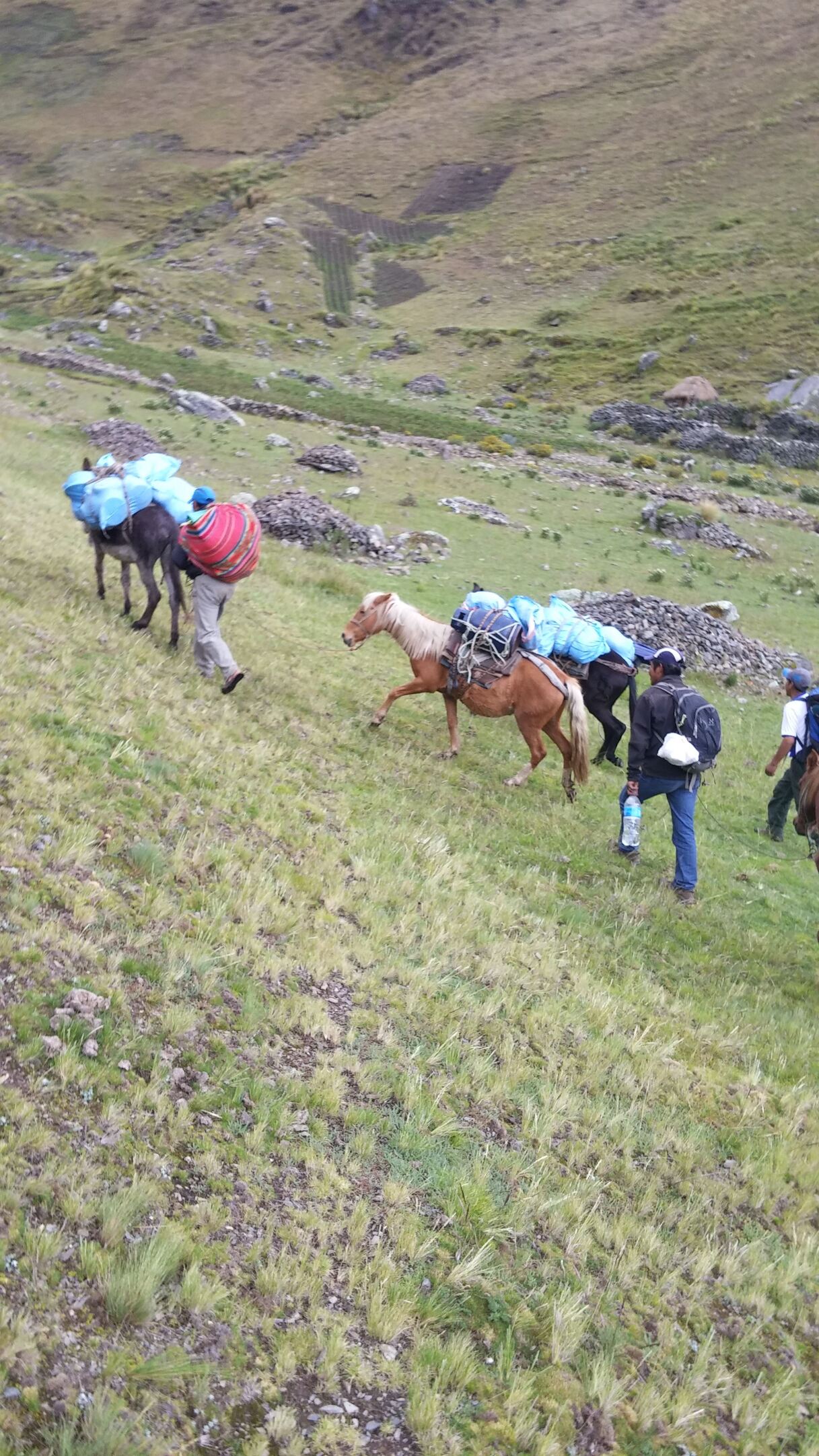 Porters in Choquechaca