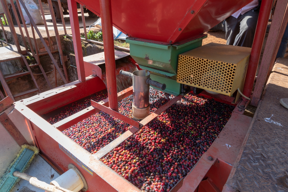 Machine in coffee farm plantation near Karatu, Tanzania