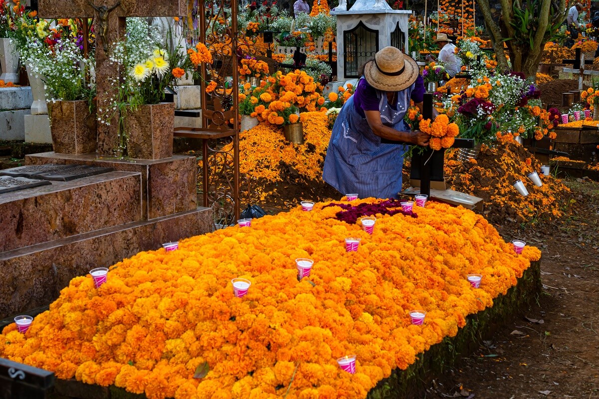 Orange marigolds are emblematic of Day of the Dead festivities