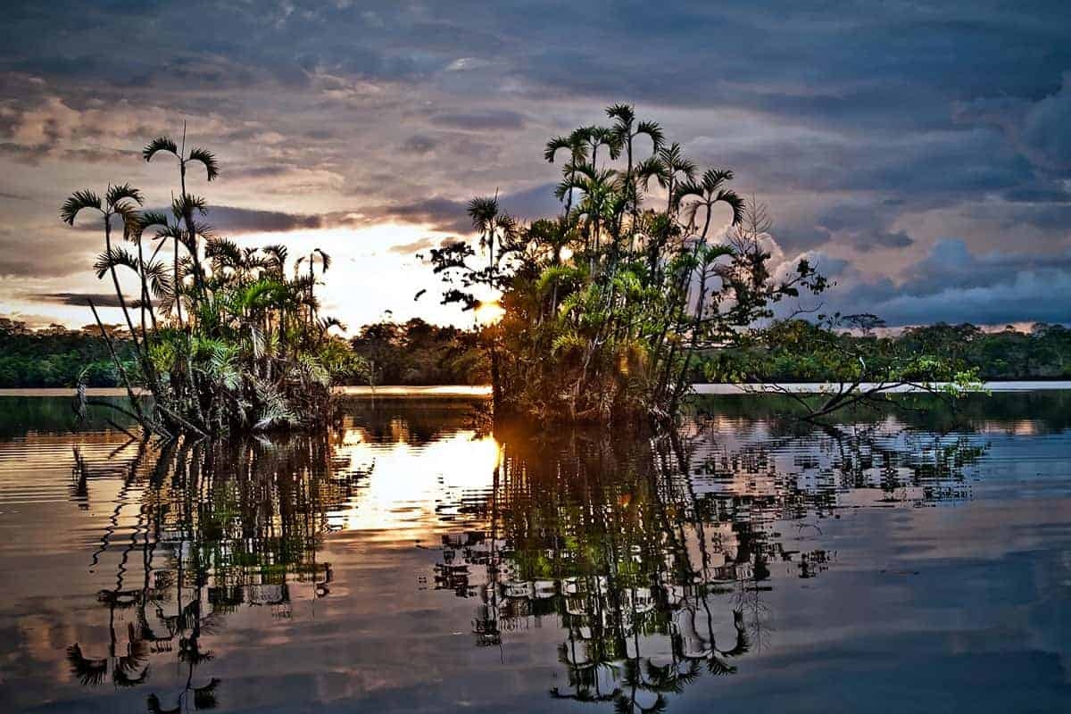  Yasuni National Park