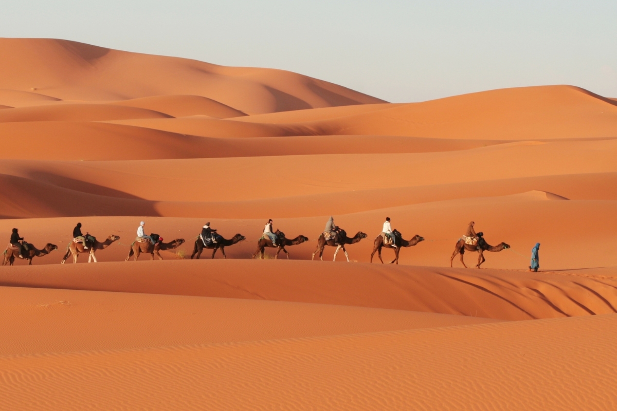 Camel ride in the Sahara Desert