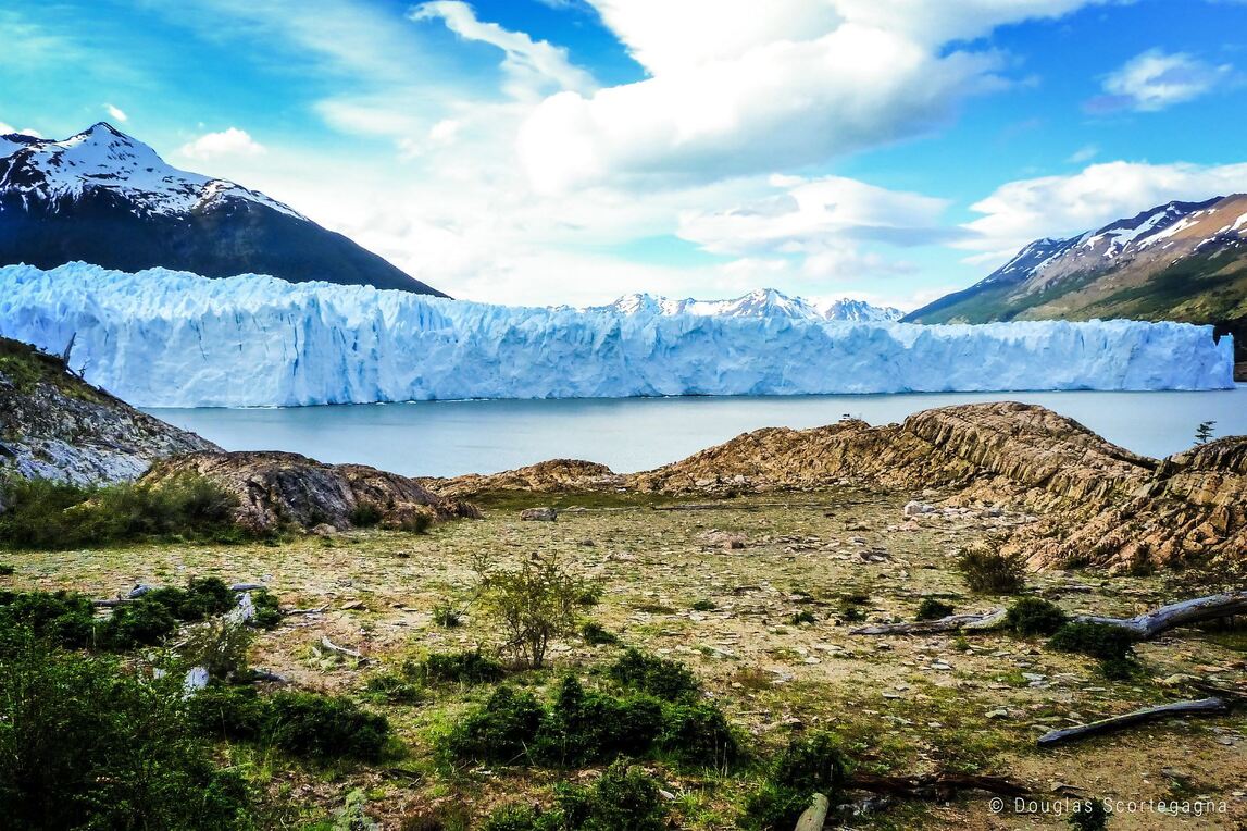 Moreno Glacier (Photo: Douglas Scortegagna)