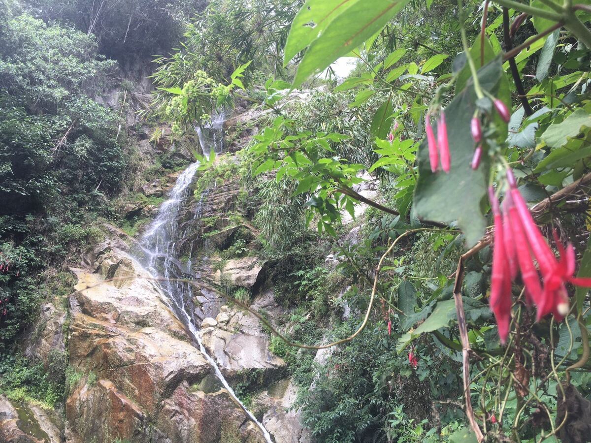 A waterfall along the trail (Photo Credit: Nick Stanziano)