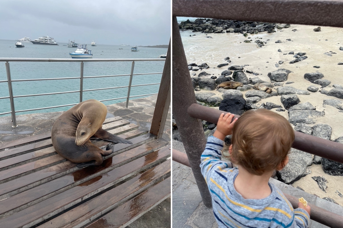 Sea lion and Hayley Ward SA Expeditions Destination Expert family at the Galapagos Islands cruise, Ecuador