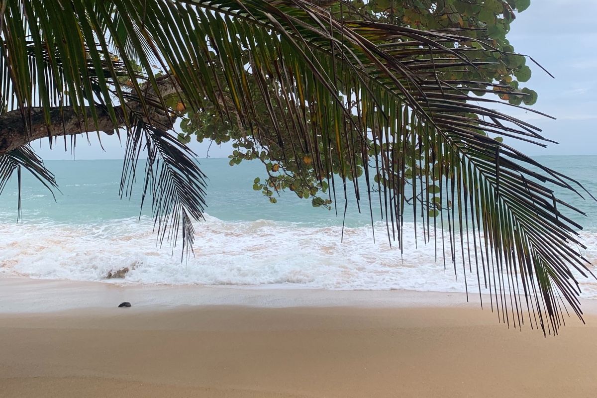 Paunch Beach at Bocas del Toro, Panama