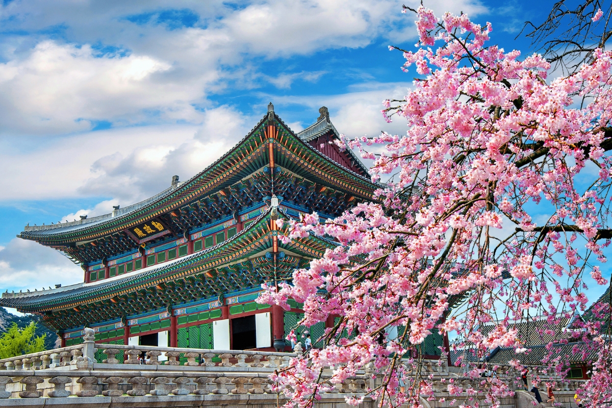 Seoul, South Korea in the spring.  