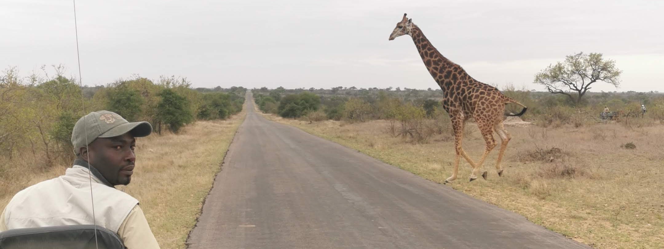 5-kruger-national-park-giraffe-south-africa-safari