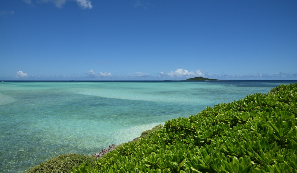 With clear waters, beautiful coral reefs, and stunning marine life, Okinawa offers unforgettable water activities experiences.