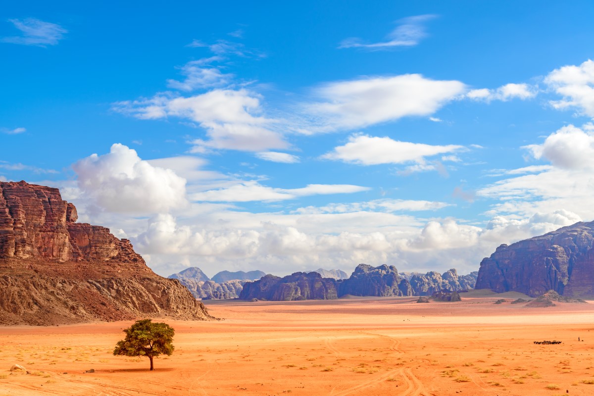 Lawrence-s Spring in Jordan