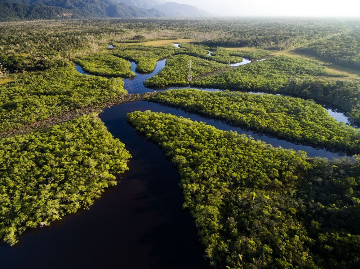 Rivers in the Amazon