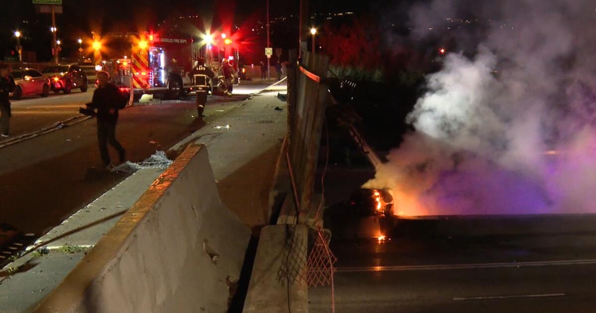 Two seriously injured after Tesla flies off freeway overpass