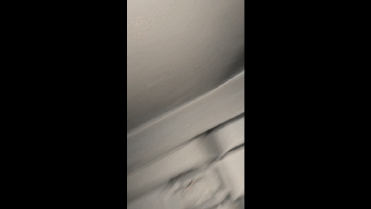 You Need A Flashlight To Escape The Tesla Cybertruck Bed