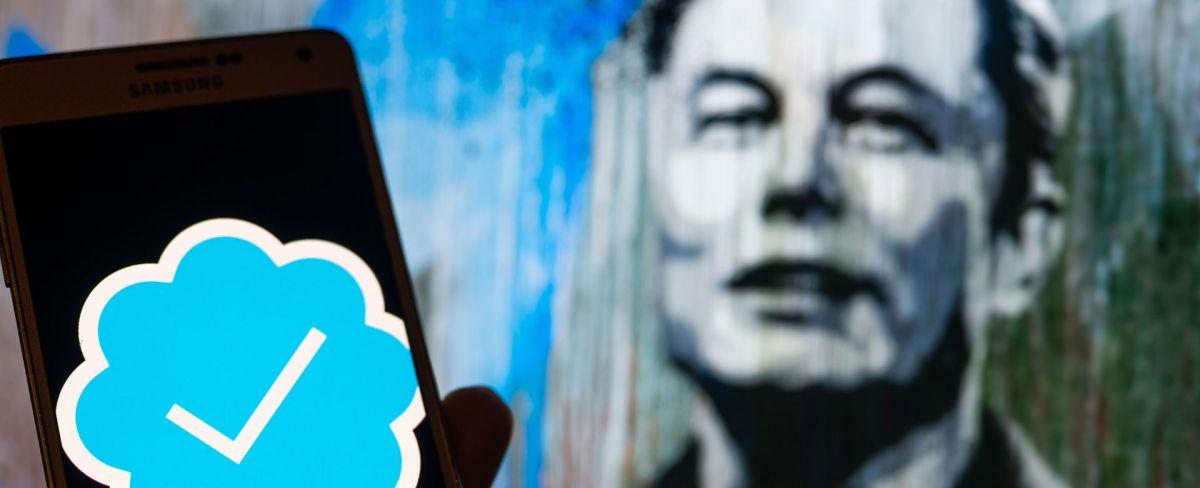 Elon Musk wants to launch a Twitter video app for smart TVs to revive falling ad sales | Flipboard