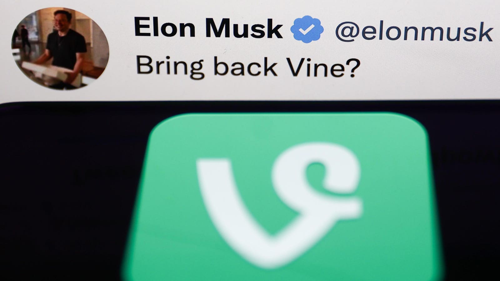 Elon Musk Pitches Reviving Vine On X—7 Years After Twitter Shut It Down