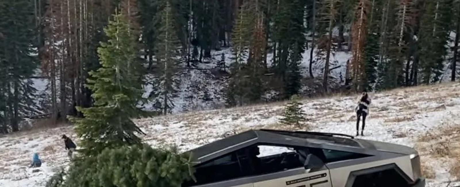 Calif. park supervisor offers to educate Tesla Cybertruck drivers after bungled off-road attempt