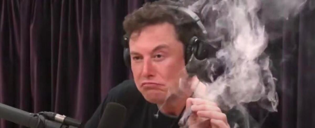 Twitter stirred when Elon Musk talks the one thing that ‘will induce meaningful climate change’