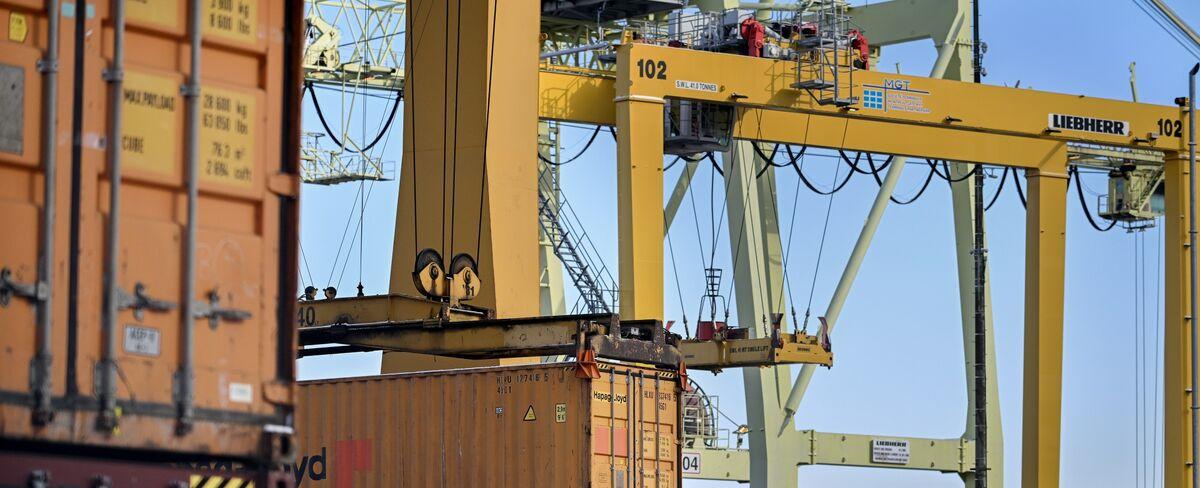 Red Sea Shipping Chaos: Tesla (TSLA), Tesco, Others Warn of Impact