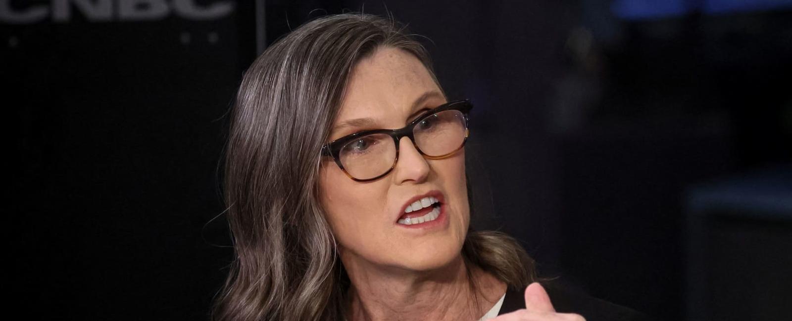 Cathie Wood says Tesla could hit $2,000 by 2027 on robotaxi opportunity