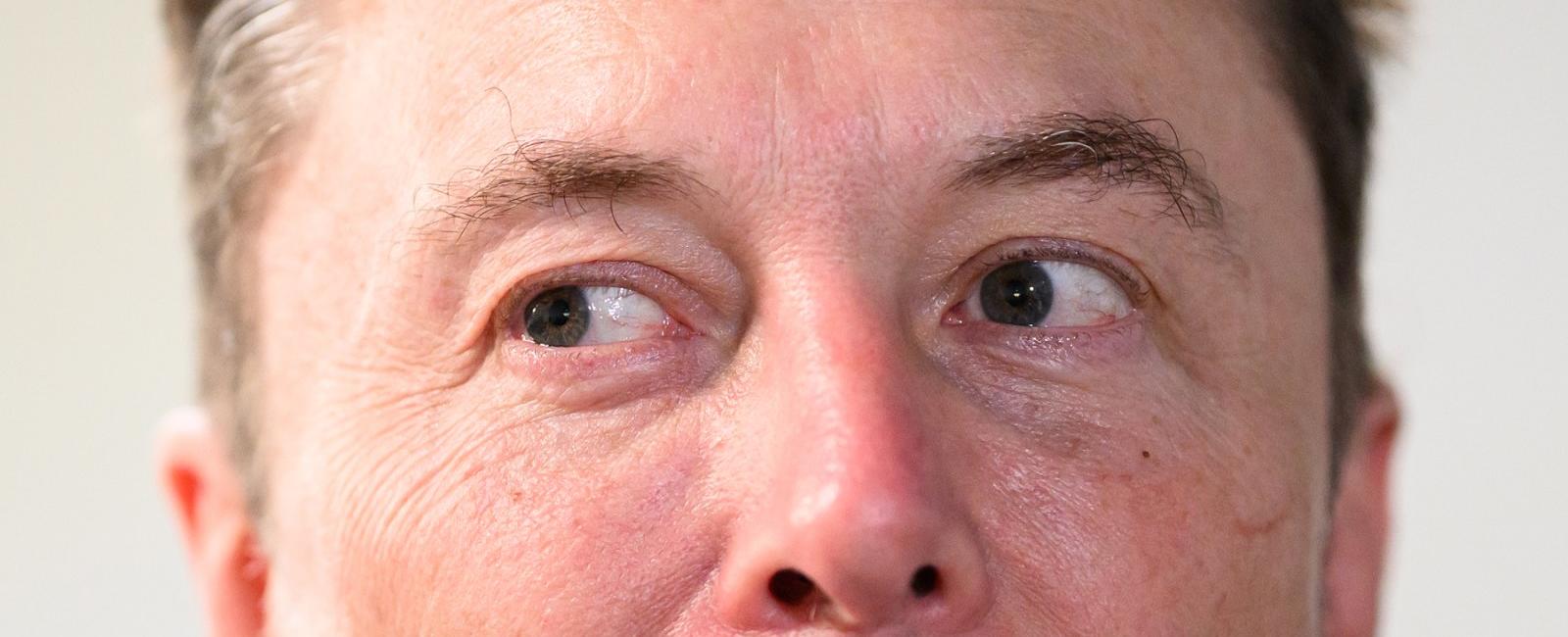 Elon Musk Shares ‘Pizzagate Is Real’ Meme on Twitter